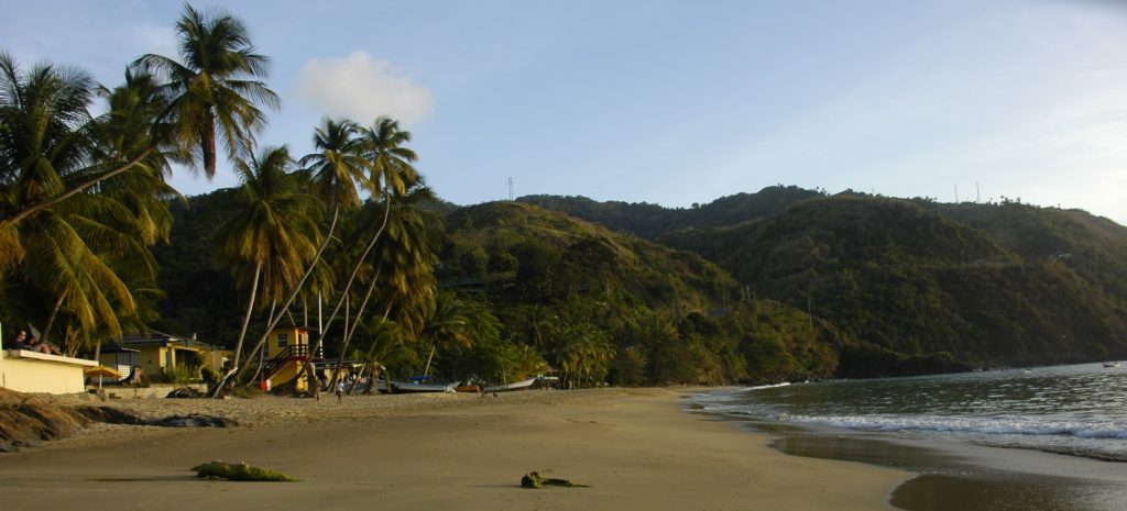 castara beach view Tobago beach town
