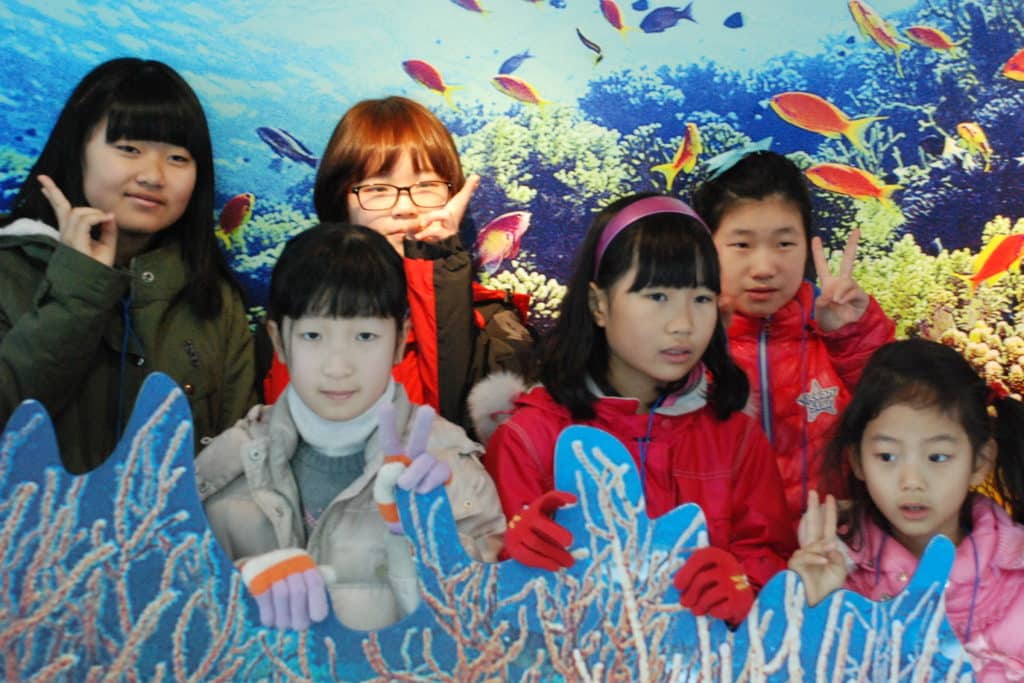 haenyeo museum students jeju