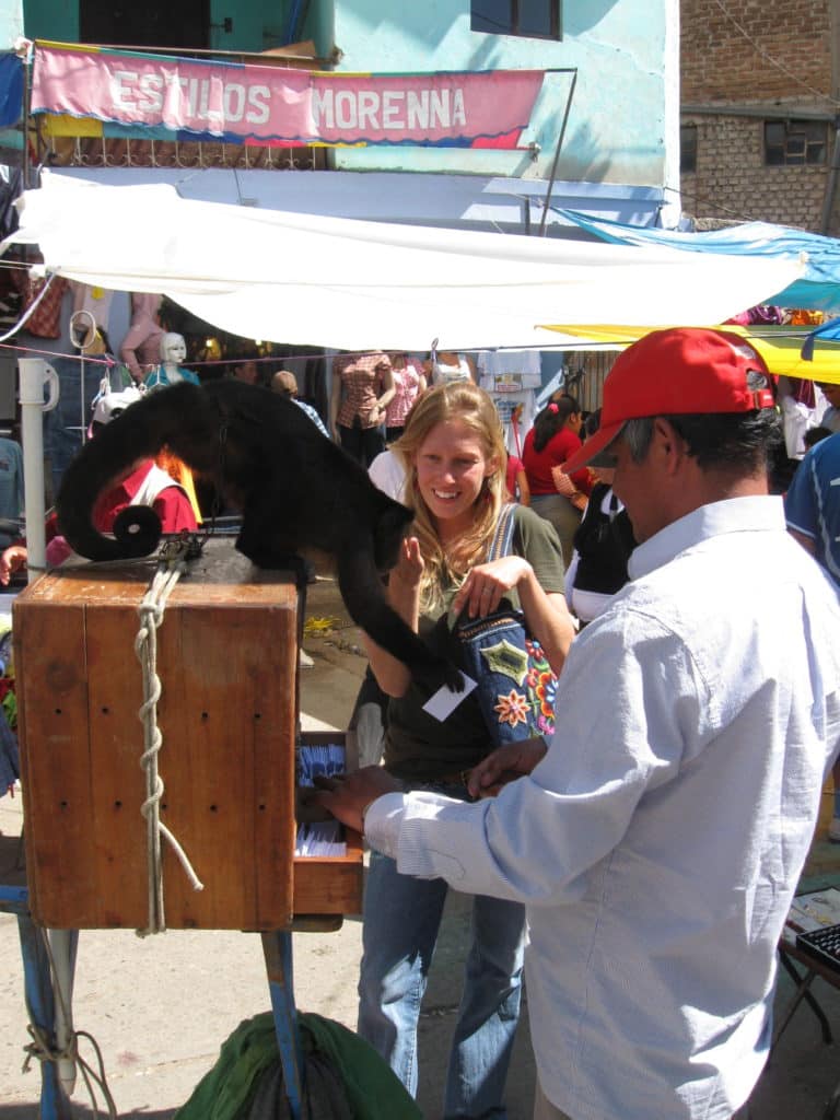 monkey fortune cajamarca peru