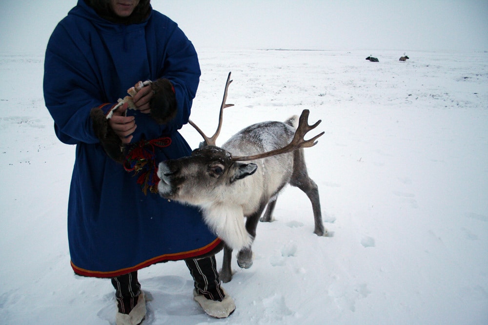 New Year's with the Nenets of the Russian Arctic