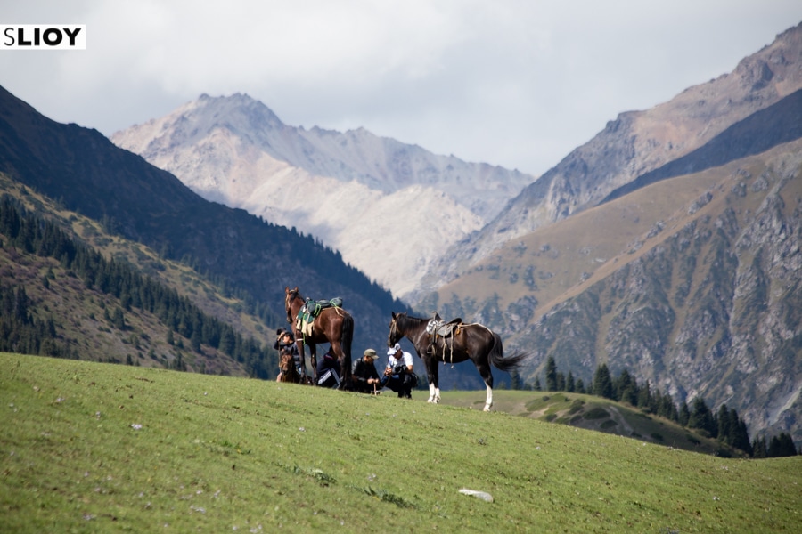 Horses on the Jailoo at Kyrchyn during the World Nomad Games 2016 in Kyrgyzstan