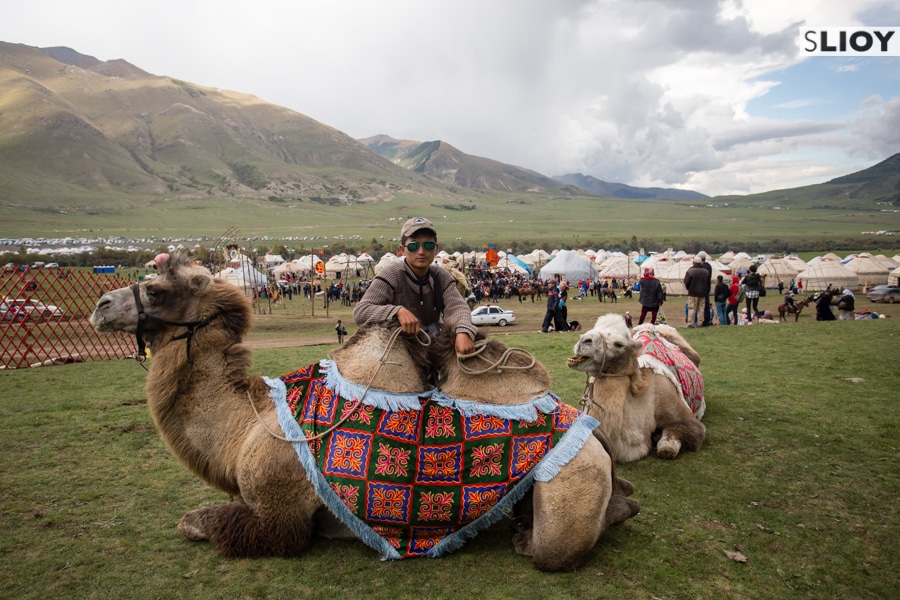 Camel rides at Jailoo Kyrchyn during the 2016 World Nomad Games in Kyrgyzstan.