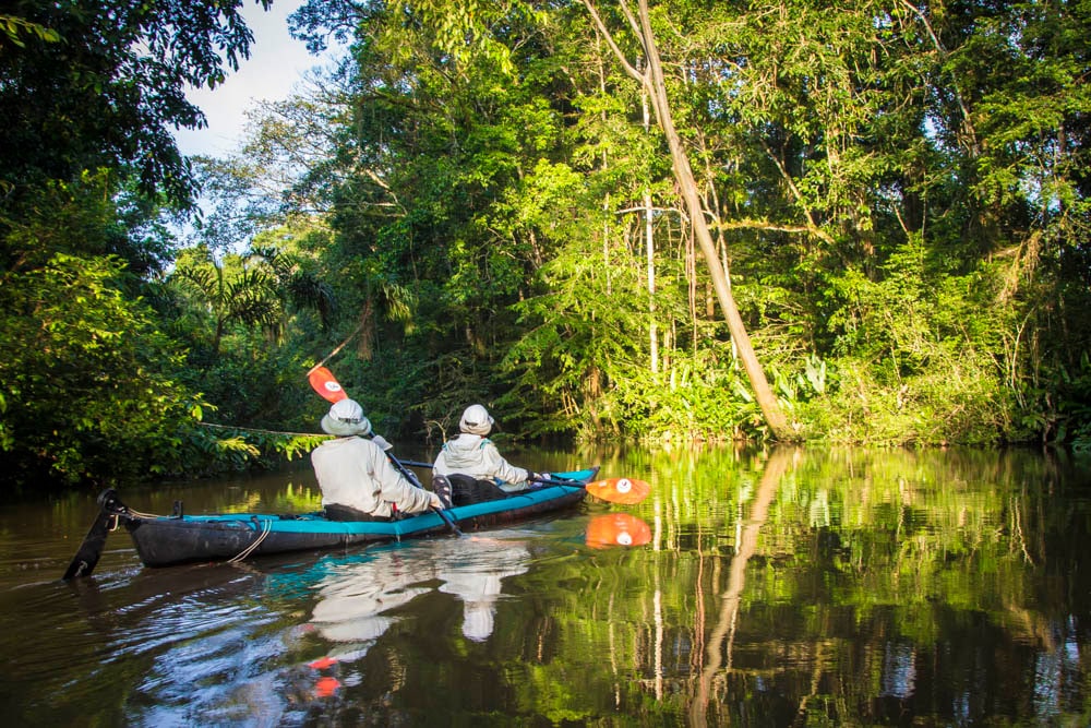 amazon rainforest Best Kayaking Destinations