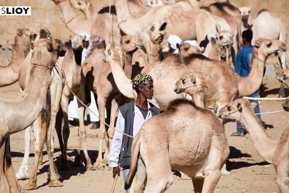 Local vendor at the Keren Camel Market in Eritrea
