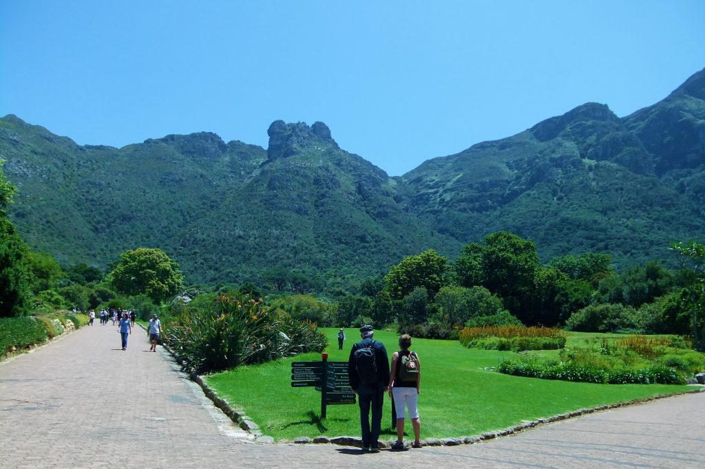 things to do in cape town kirstenbosch gardens