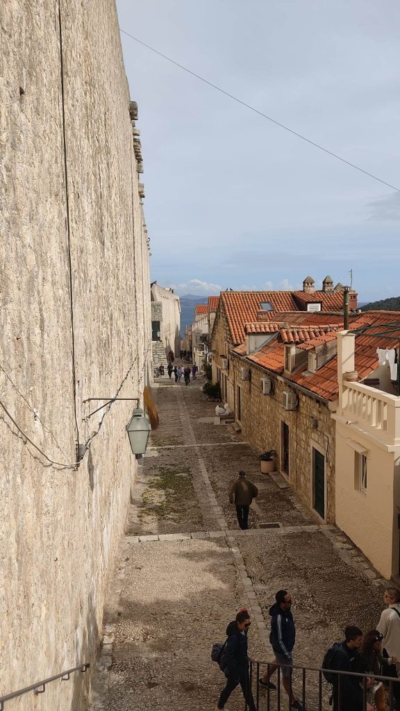 One Day in Dubrovnik Croatia
